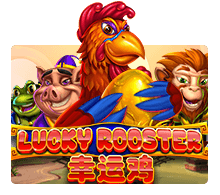 Lucky Rooster - joker-roma