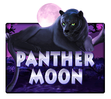 Panther Moon - joker-roma