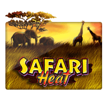 Safari Heat - joker-roma