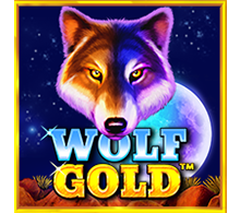 รีวิวเกม Wolf Gold