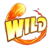 สัญลักษณ์ Wild